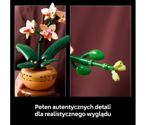 LEGO Botanicals 10343 Mała orchidea - 1283645 - zdjęcie 6